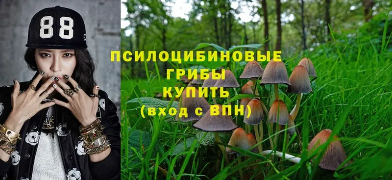 Псилоцибиновые грибы Magic Shrooms  дарнет шоп  Краснознаменск 